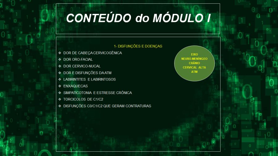 conteúdo 02