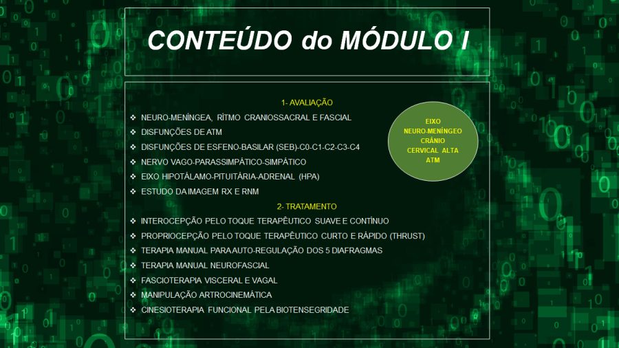 conteúdo 03